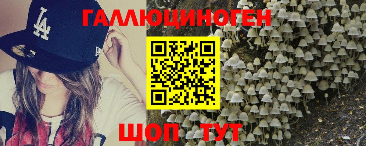 Псилоцибиновые грибы ЛСД  Вход с VPN  Псилоцибиновые грибы Psilocybine cubensis  Жигулёвск 